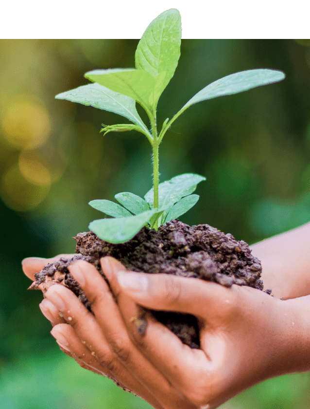 Card Background Image